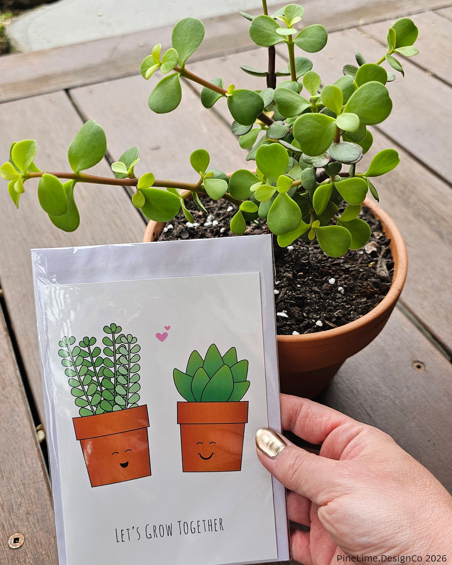 Plant + Card Gift Set