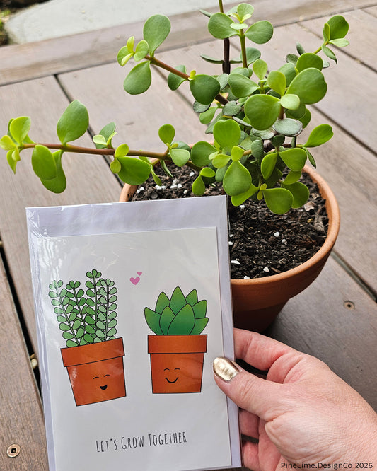 Plant + Card Gift Set