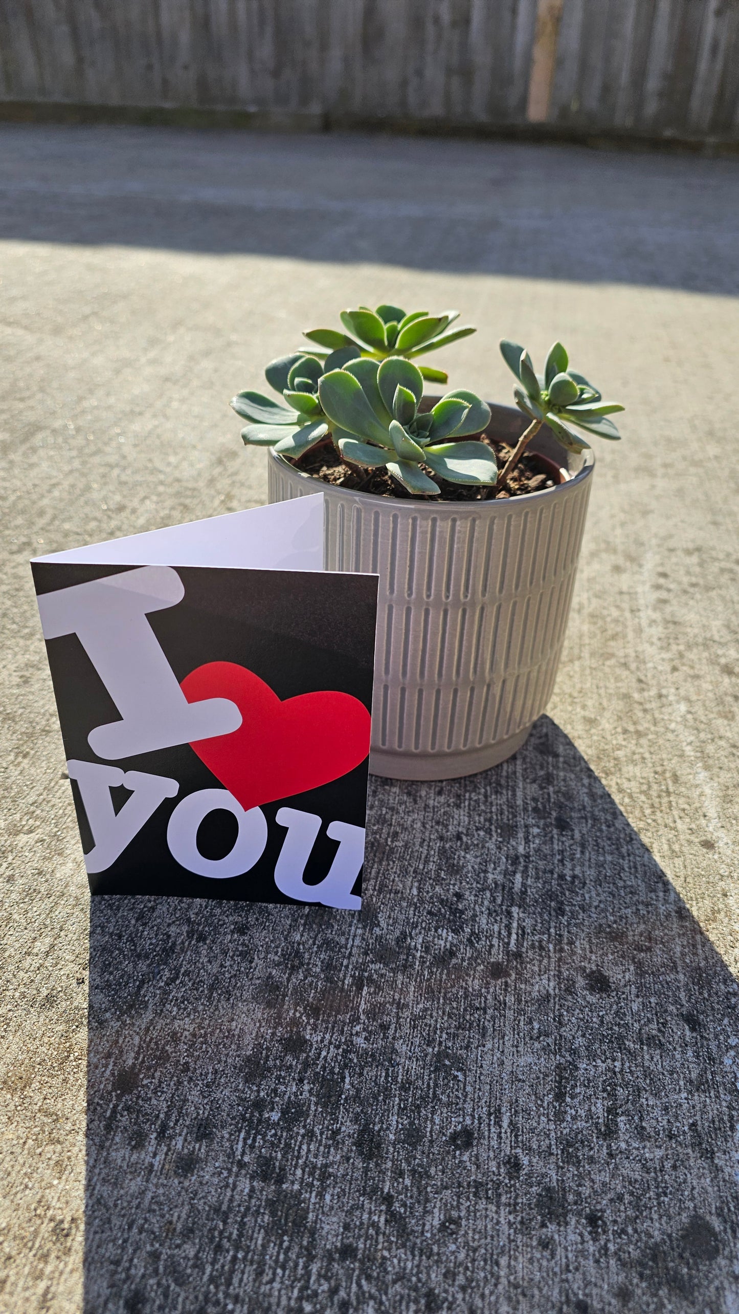 Plant + Card Gift Set